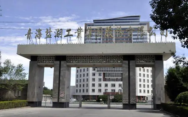 Qinghai Salt Lake Industry Co., Ltd